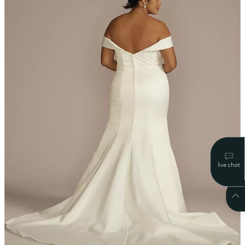 David's Bridal Elegant Cream Wedding Dress - Picture 6 of 7